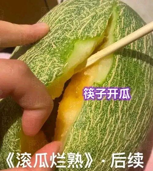 吃最好的哈密瓜视频,探寻新疆美味之源
