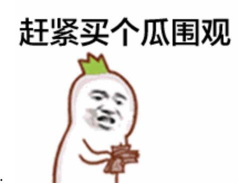 吃瓜群众怎么投稿视频呢,轻松分享你的精彩瞬间