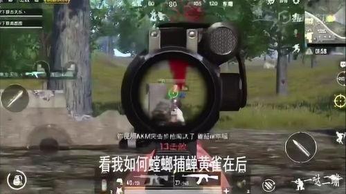 呆瓜吃鸡视频在哪看,轻松找到你的欢乐时光