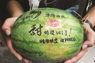 旅游景区吃瓜视频大全,揭秘各大景点美食诱惑
